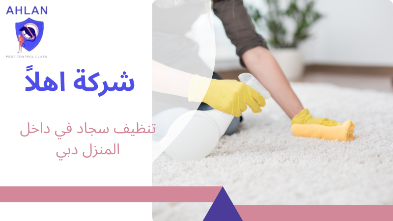 تنظيف سجاد في داخل المنزل دبي
