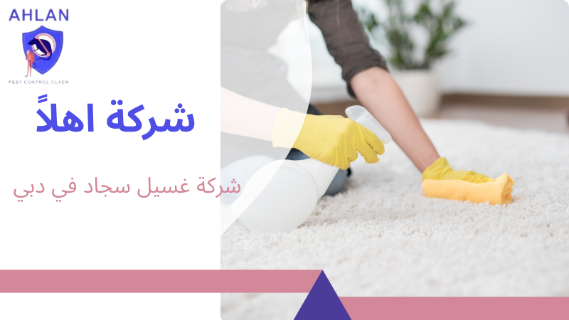 شركة غسيل سجاد في دبي