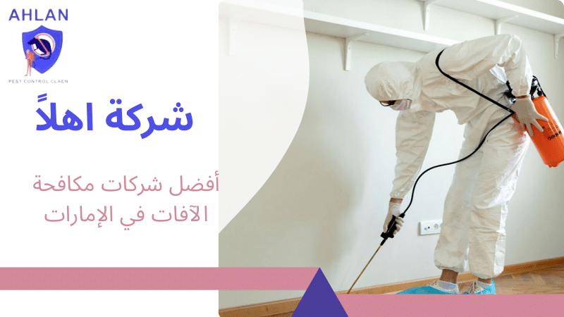 أفضل شركات مكافحة الآفات في الإمارات