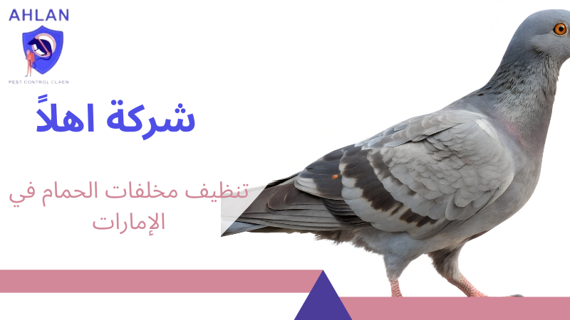 تنظيف مخلفات الحمام في الإمارات