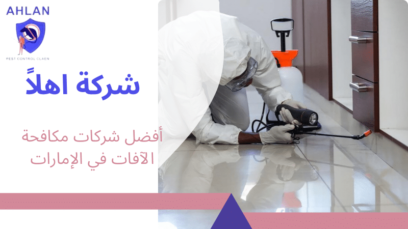 أفضل شركات مكافحة الآفات في الإمارات
