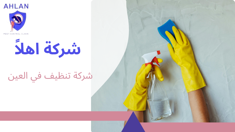 شركة تنظيف في العين