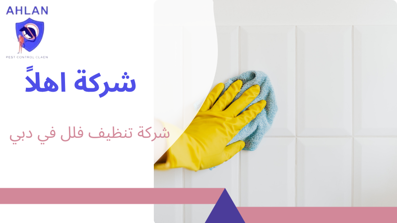 شركة تنظيف فلل في دبي