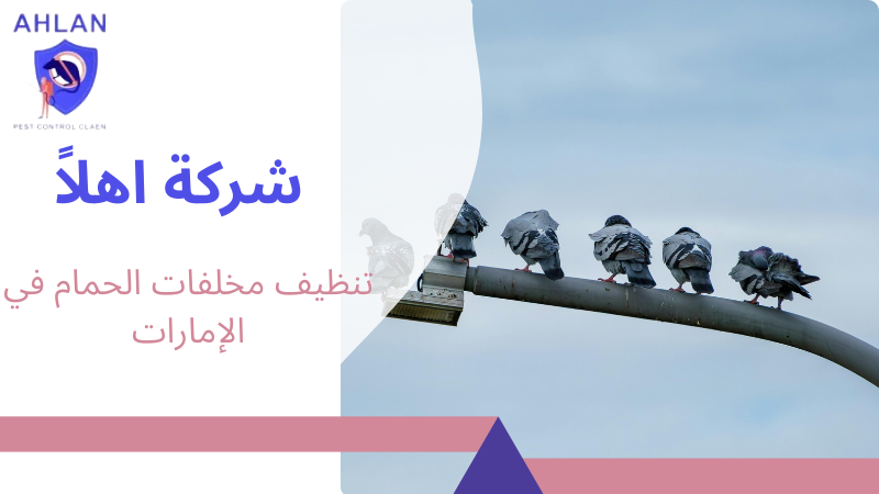 تنظيف مخلفات الحمام في الإمارات