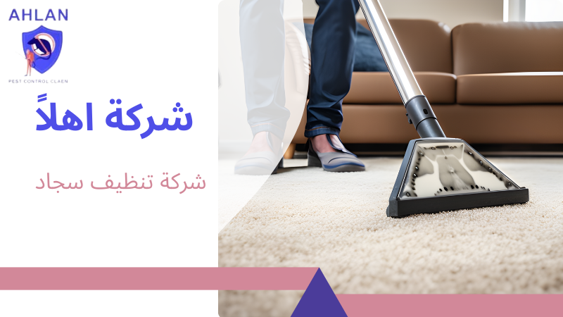 شركة تنظيف سجاد