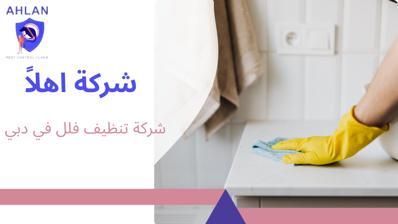 شركة تنظيف فلل في دبي