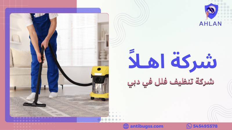 شركة تنظيف فلل في دبي