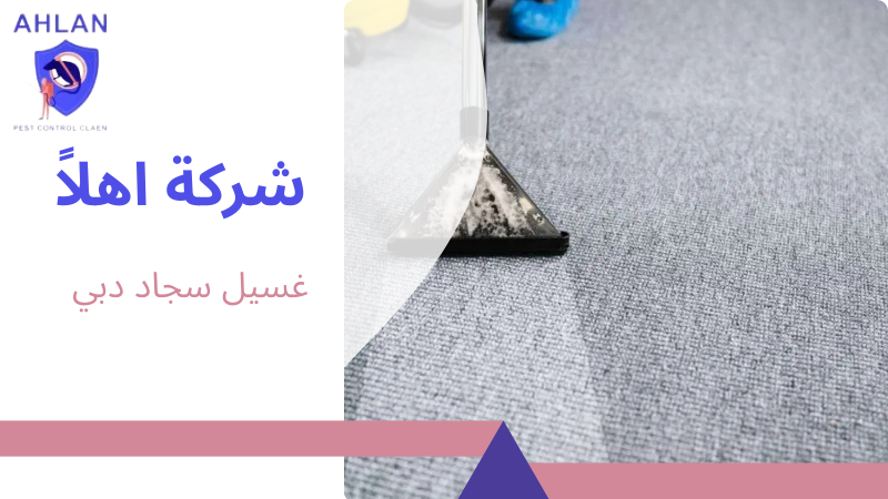 غسيل سجاد دبي