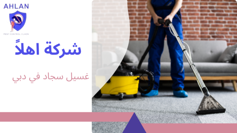 غسيل سجاد في دبي