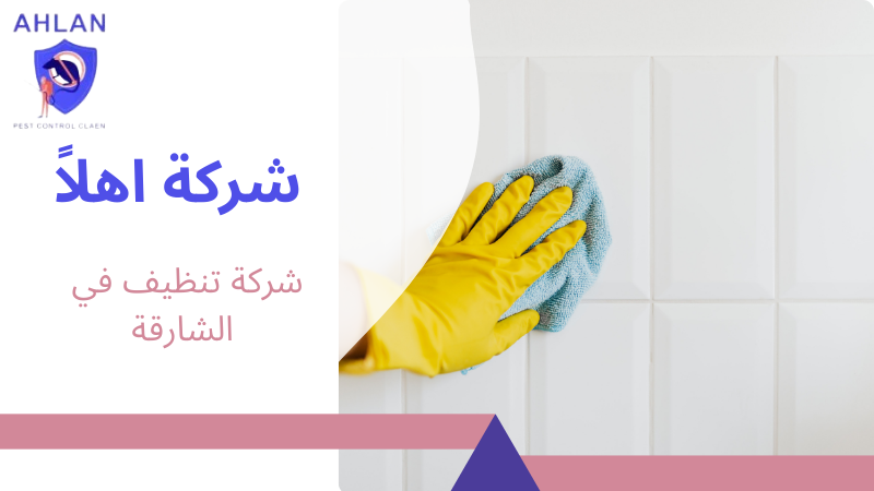 شركة تنظيف في الشارقة