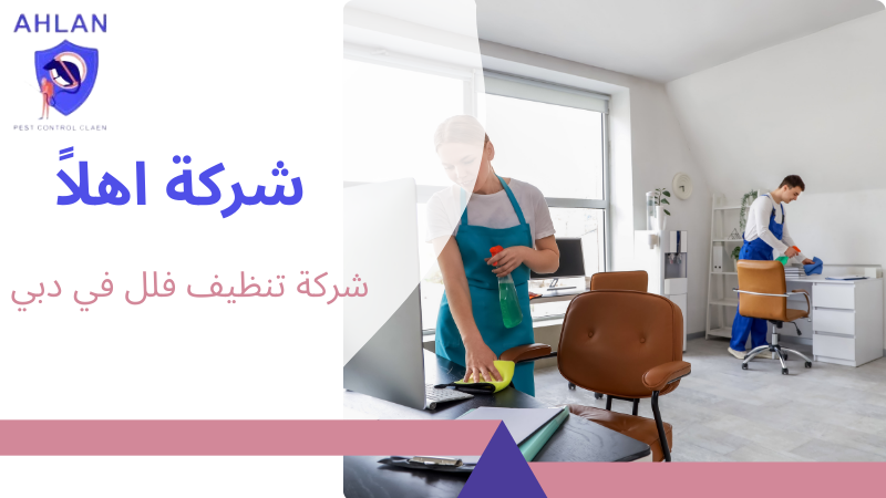 شركة تنظيف فلل في دبي