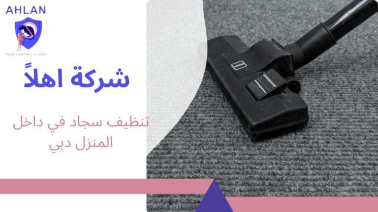 تنظيف سجاد في داخل المنزل دبي