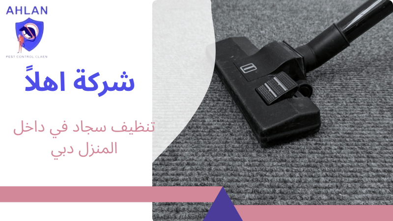 تنظيف سجاد في داخل المنزل دبي