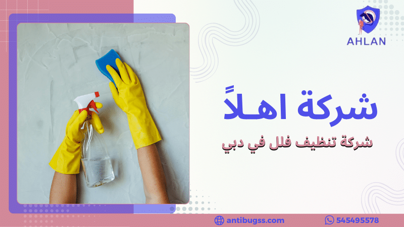 شركة تنظيف فلل في دبي