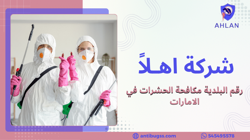 رقم البلدية مكافحة الحشرات في الامارات