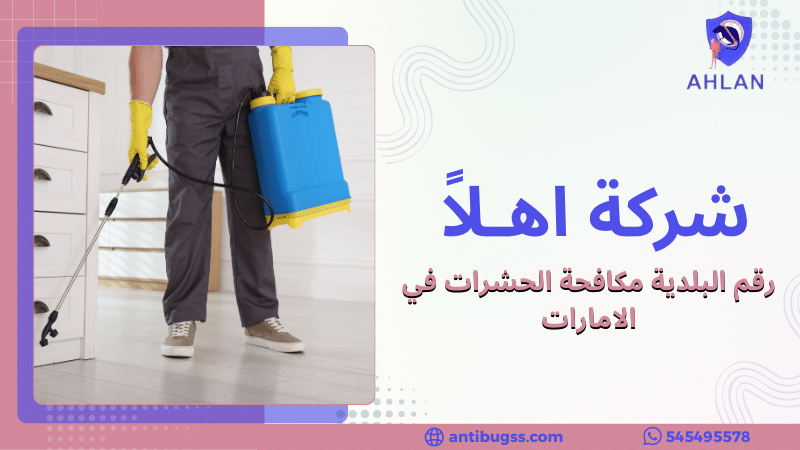 رقم البلدية مكافحة الحشرات في الامارات