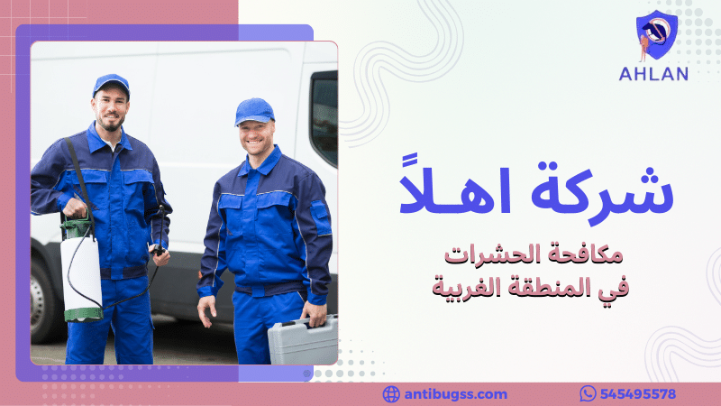 مكافحة الحشرات في المنطقة الغربية