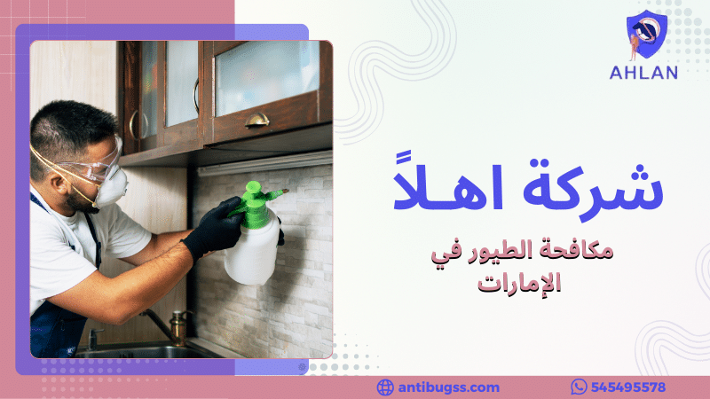 مكافحة الطيور في الإمارات