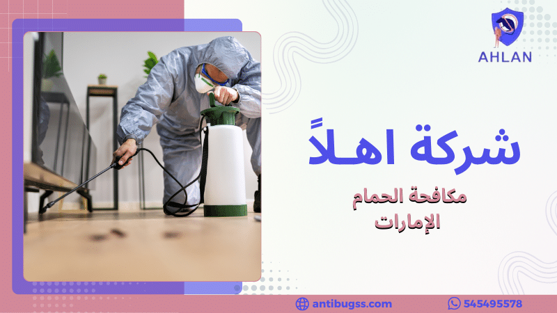 مكافحة الحمام الإمارات