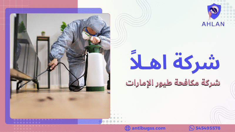 شركة مكافحة طيور الإمارات