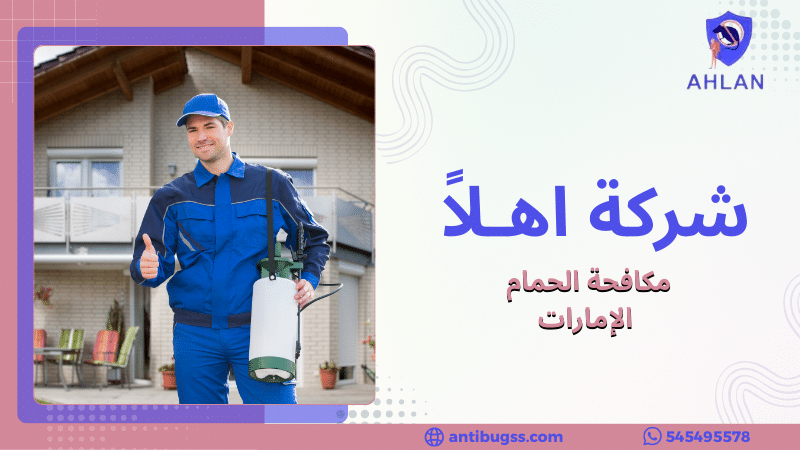 مكافحة الحمام الإمارات