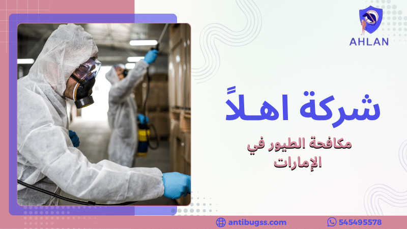 مكافحة الطيور في الإمارات