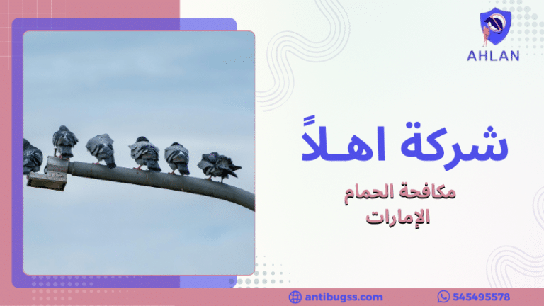 مكافحة الحمام الإمارات