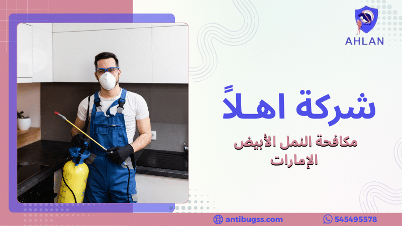 مكافحة النمل الأبيض الإمارات