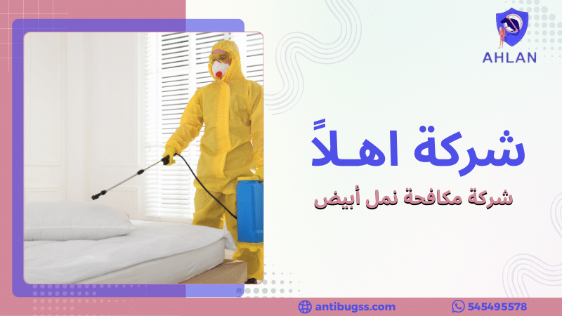 شركة مكافحة نمل أبيض