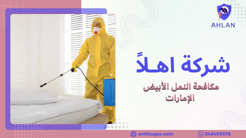 مكافحة النمل الأبيض الإمارات