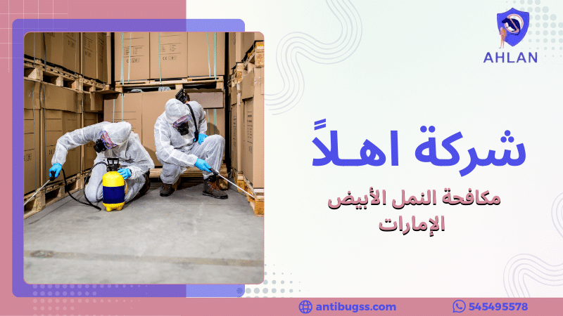 مكافحة النمل الأبيض الإمارات