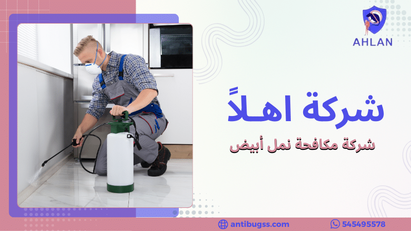 شركة مكافحة نمل أبيض