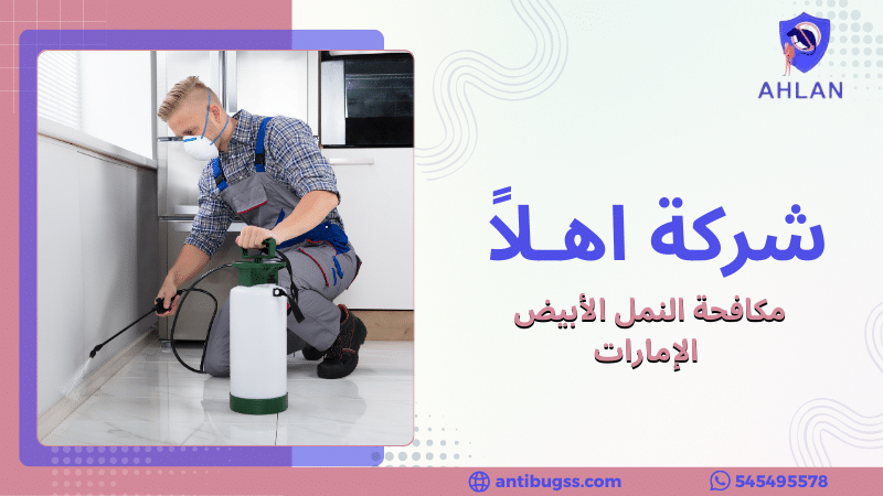 مكافحة النمل الأبيض الإمارات