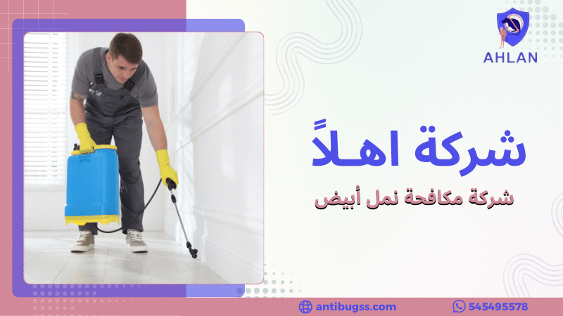شركة مكافحة نمل أبيض