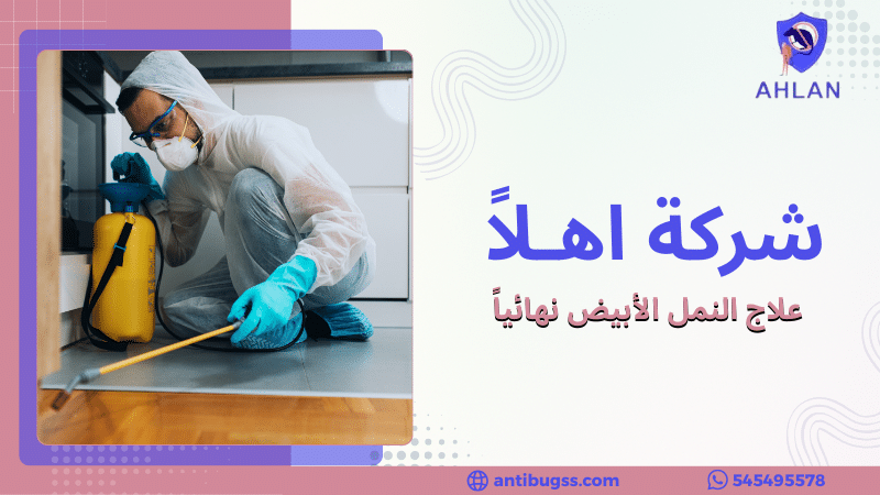 علاج النمل الأبيض نهائياً