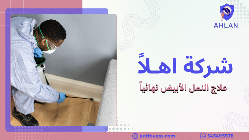 علاج النمل الأبيض نهائياً