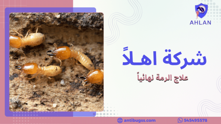 علاج الرمة نهائياً
