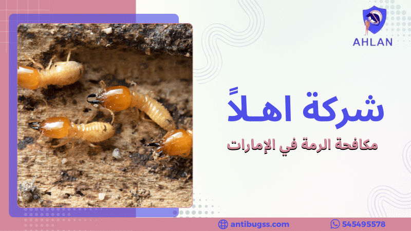 مكافحة الرمة في الإمارات