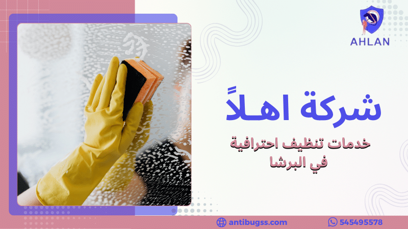 خدمات تنظيف احترافية في البرشا