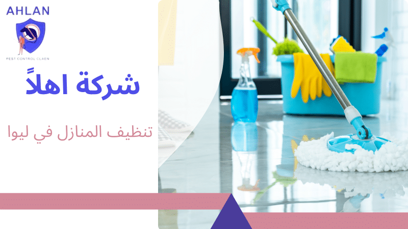 تنظيف المنازل في ليوا