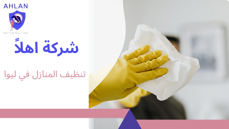 تنظيف المنازل في ليوا