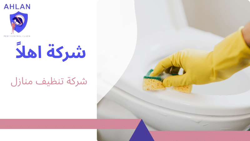 شركة تنظيف منازل