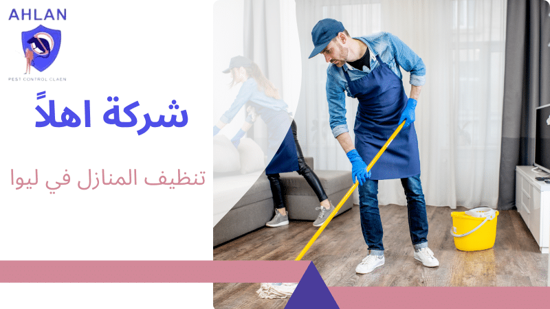 تنظيف المنازل في ليوا