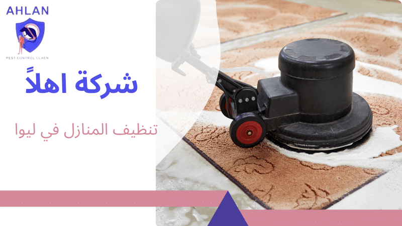 تنظيف المنازل في ليوا