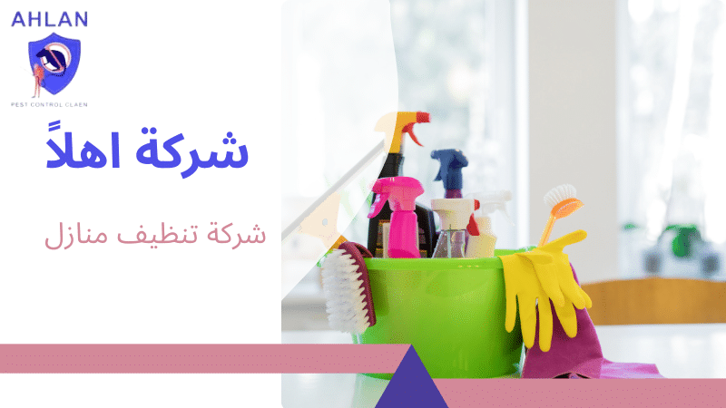 شركة تنظيف منازل