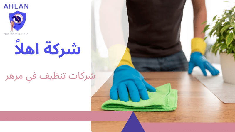 شركات تنظيف في مزهر