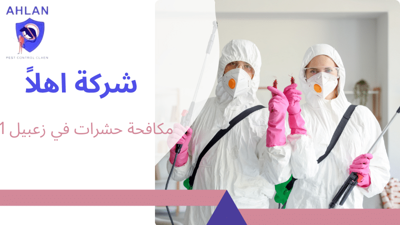 مكافحة حشرات في زعبيل 1