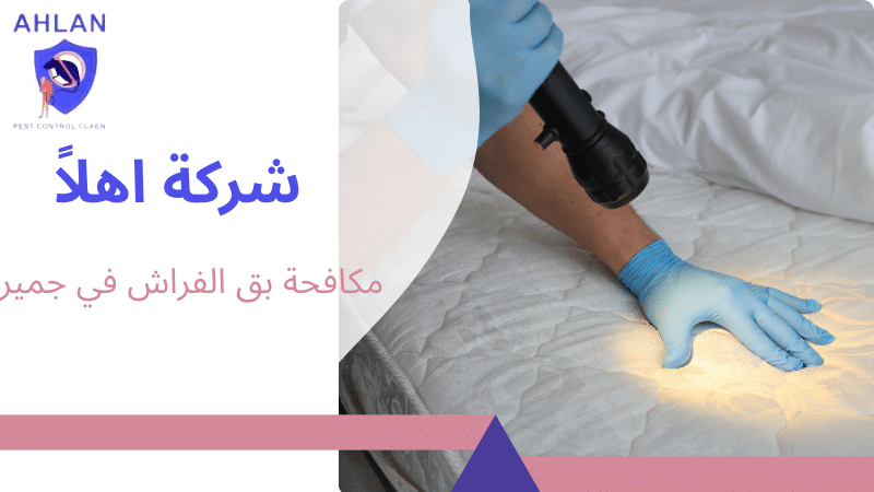 مكافحة بق الفراش في جميرا
