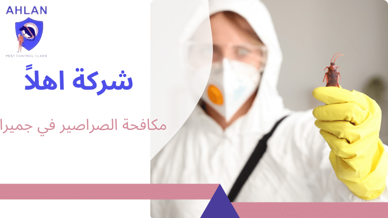 مكافحة الصراصير في جميرا