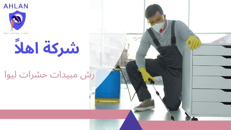 رش مبيدات حشرات ليوا